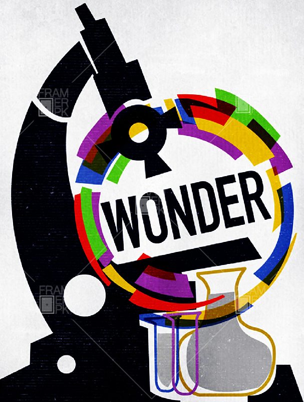 Wonder