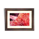 Flower sea living coral and reef color under deep dark water of sea ocean environment