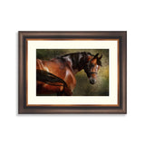 The Thoroughbred classical portrait. Simulation in old painting style