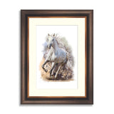 White horse runs watercolor painting