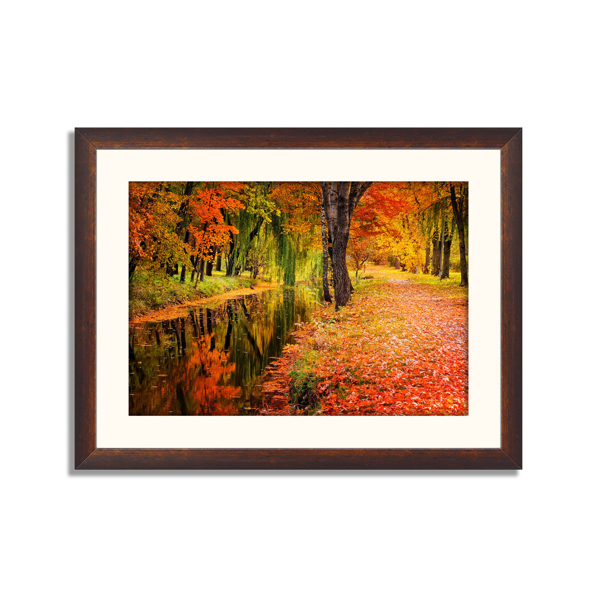 Autumn landscape beautiful colored trees over the river