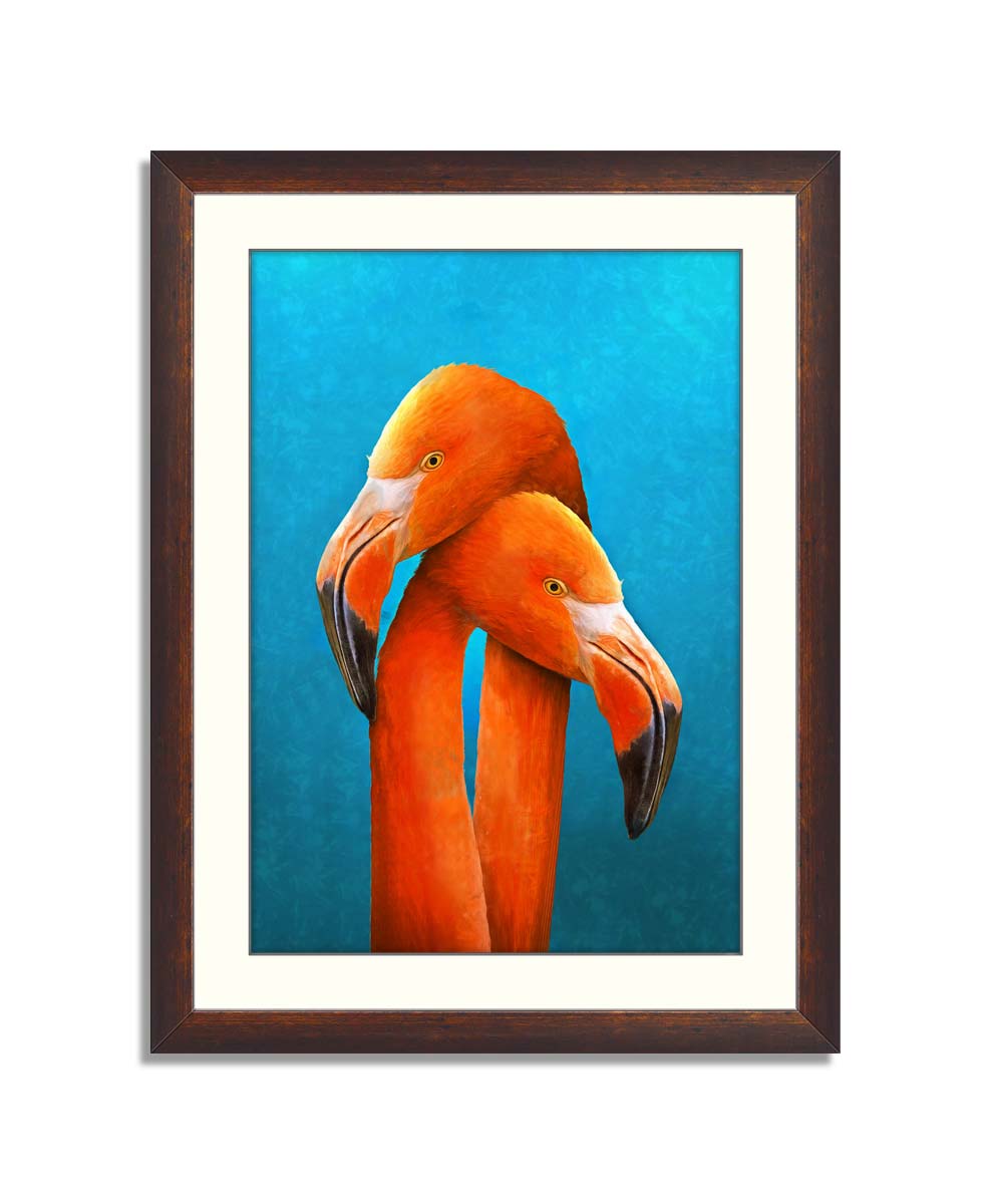 lovely couple orange flamingos on blue background