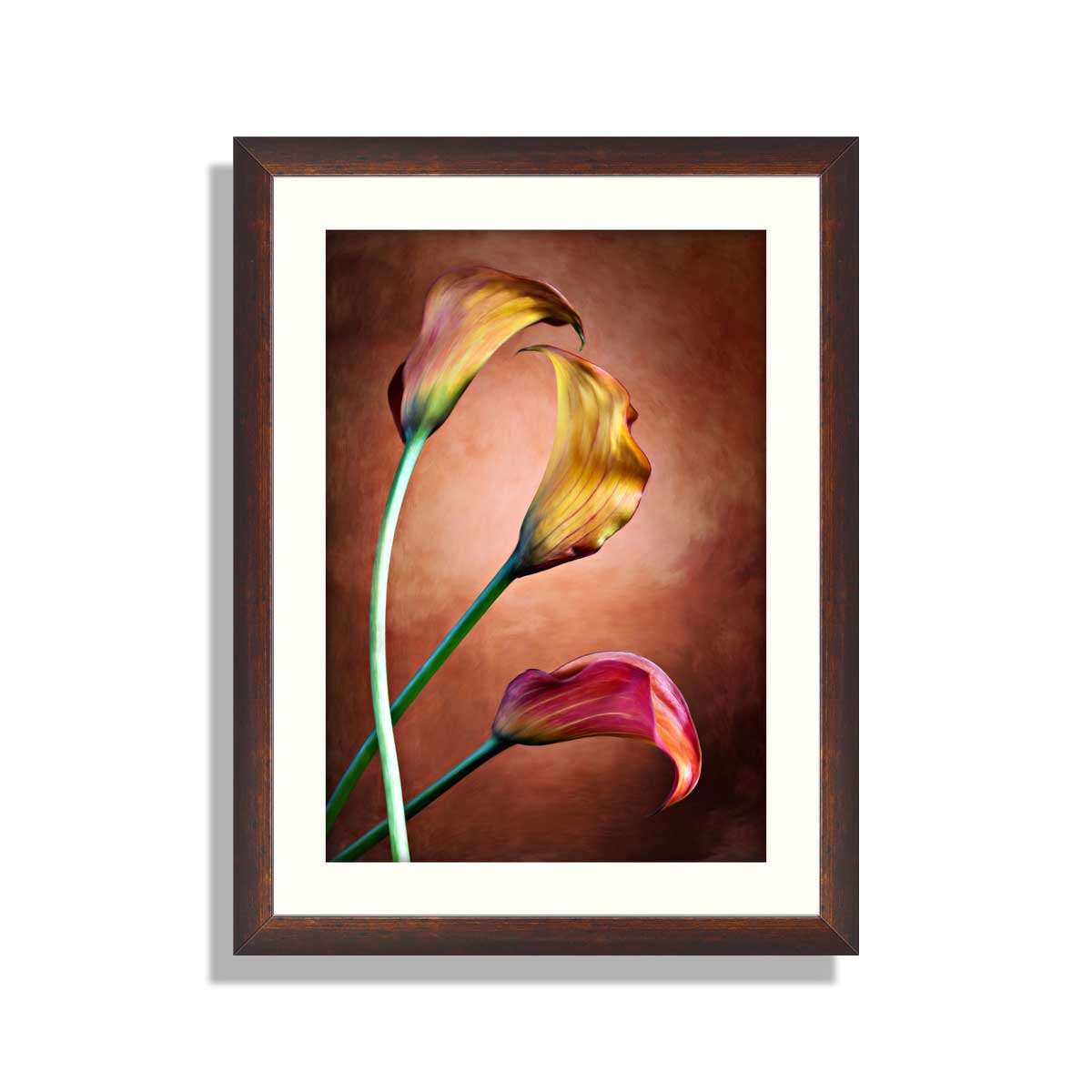 Calla Lily Flower