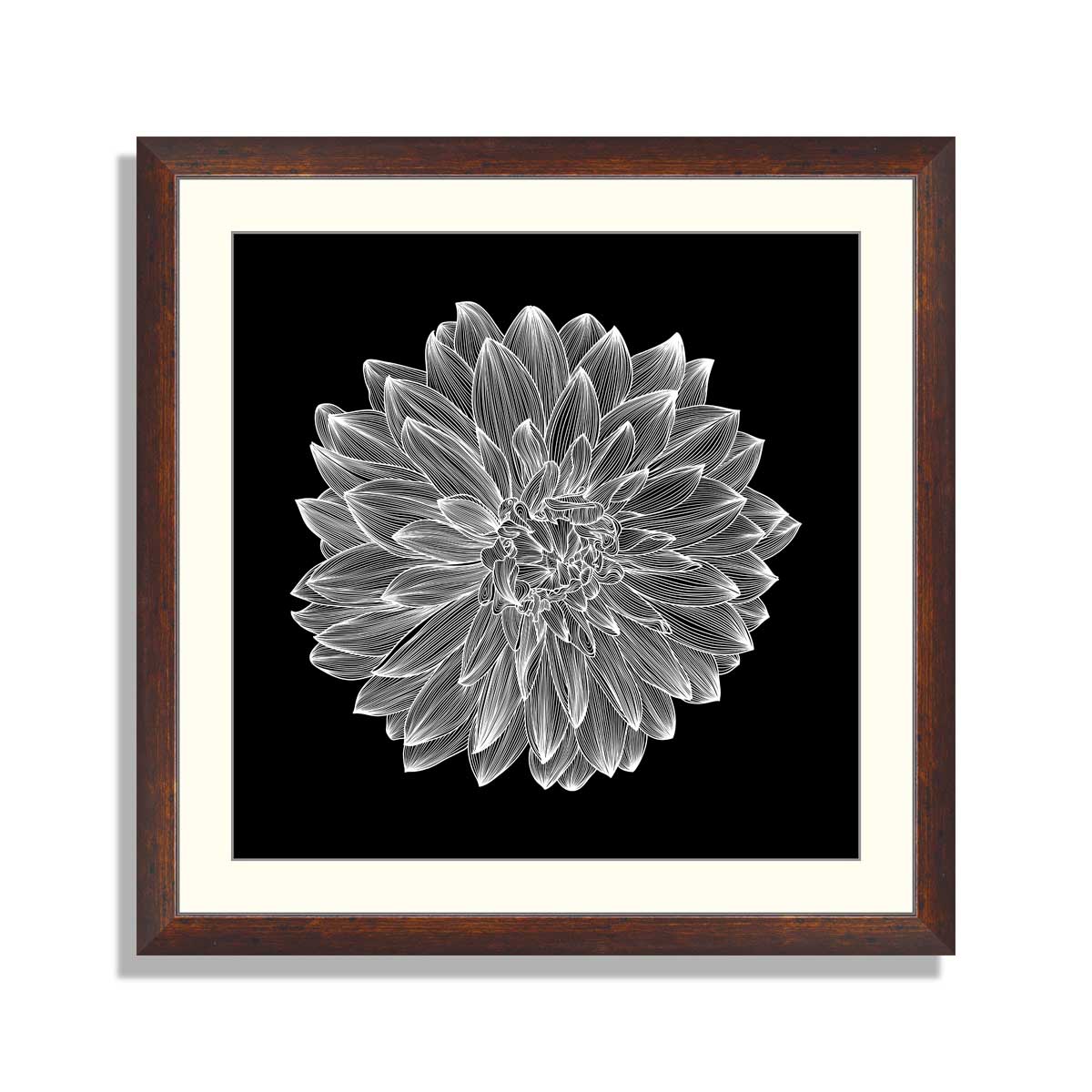 black-and-white-drawing-of-dahlia-flower