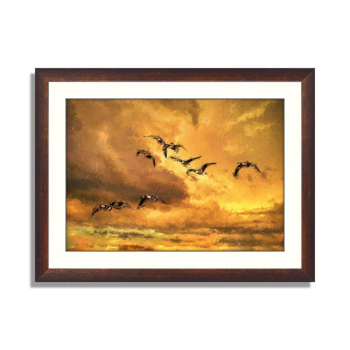 Canada geese in flight in red skies