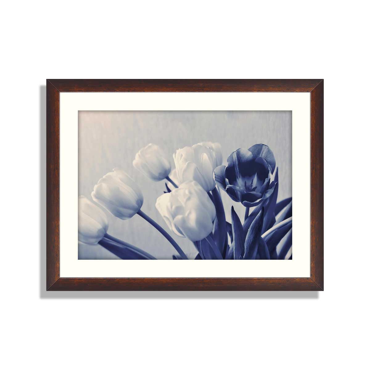 abstract bouquet closeup from the blossoming white tulips with foliage and one flower of dark color of monochrome blue tone