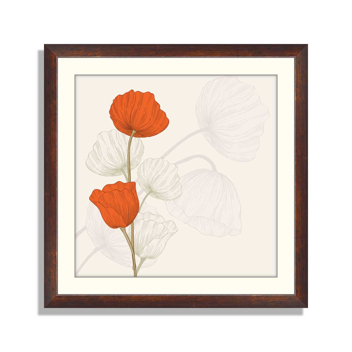 vintage poppies flowers