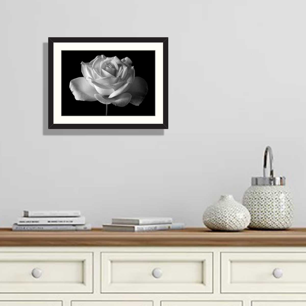 black and white rose in bloom over black background