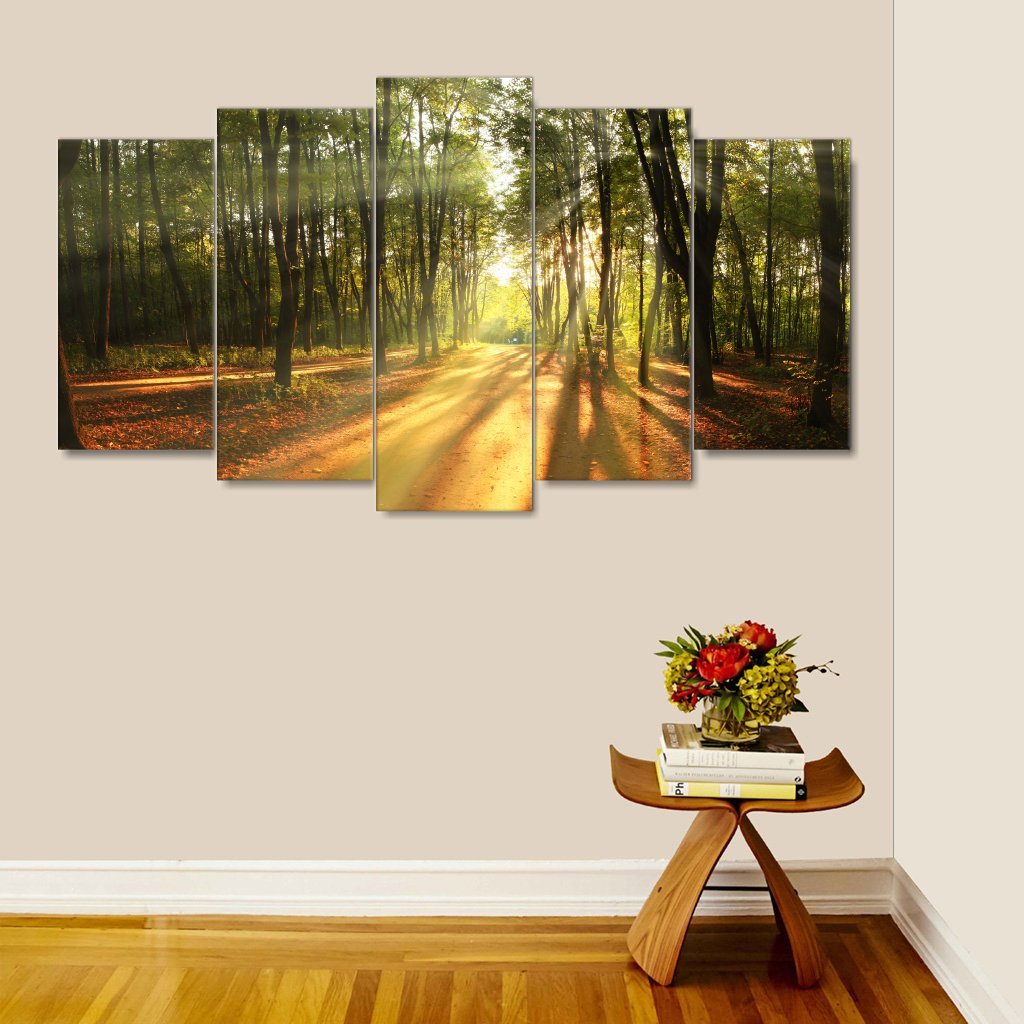 5 Panels light rays fall landscape trees