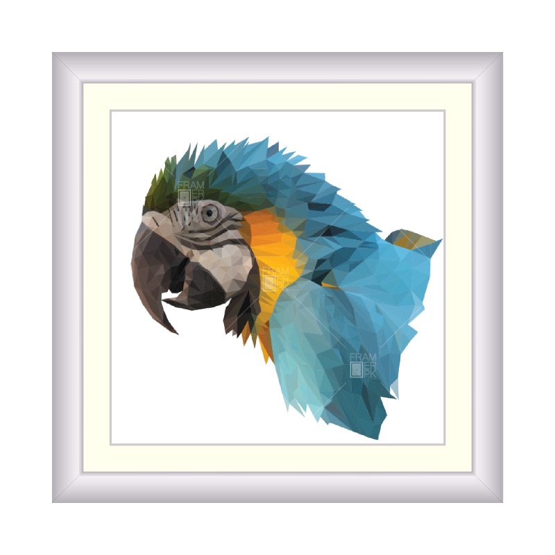 Polygon Parrot