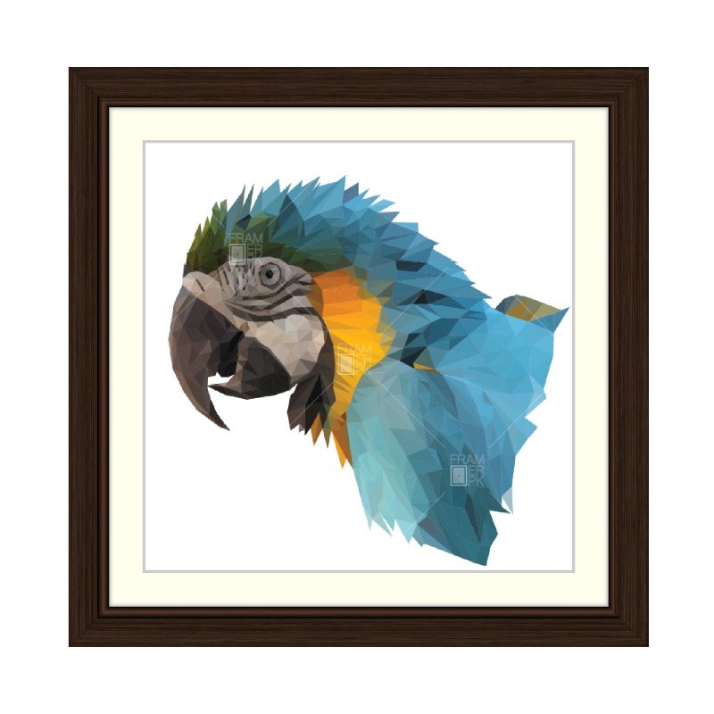 Polygon Parrot