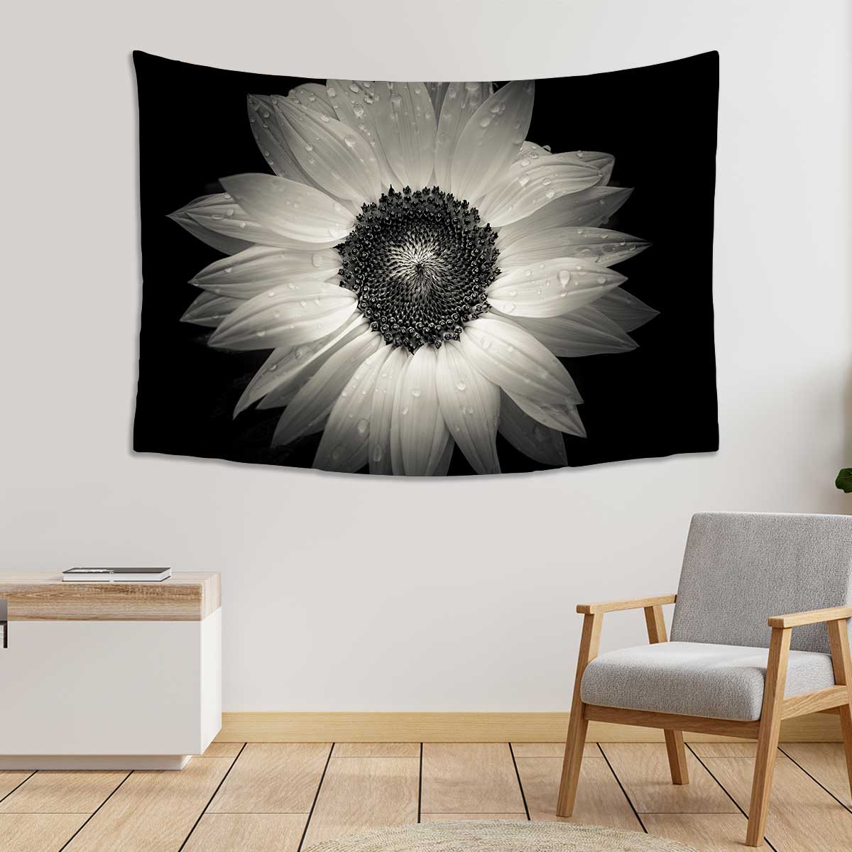 sunflower-on-black-background