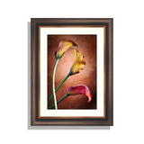 Calla Lily Flower